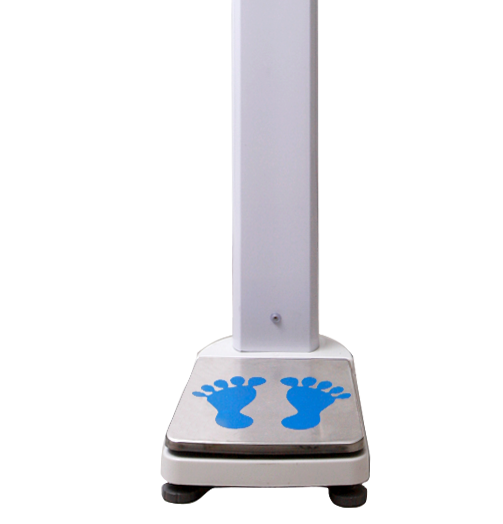 �O����y�������z�y